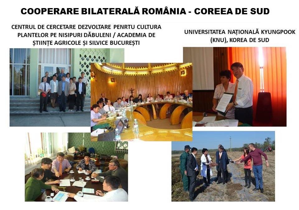 Cooperare bilaterala România – Coreea de Sud